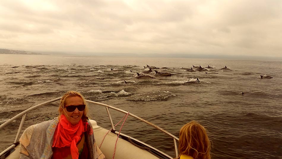 Dolphins - Plettenberg Bay