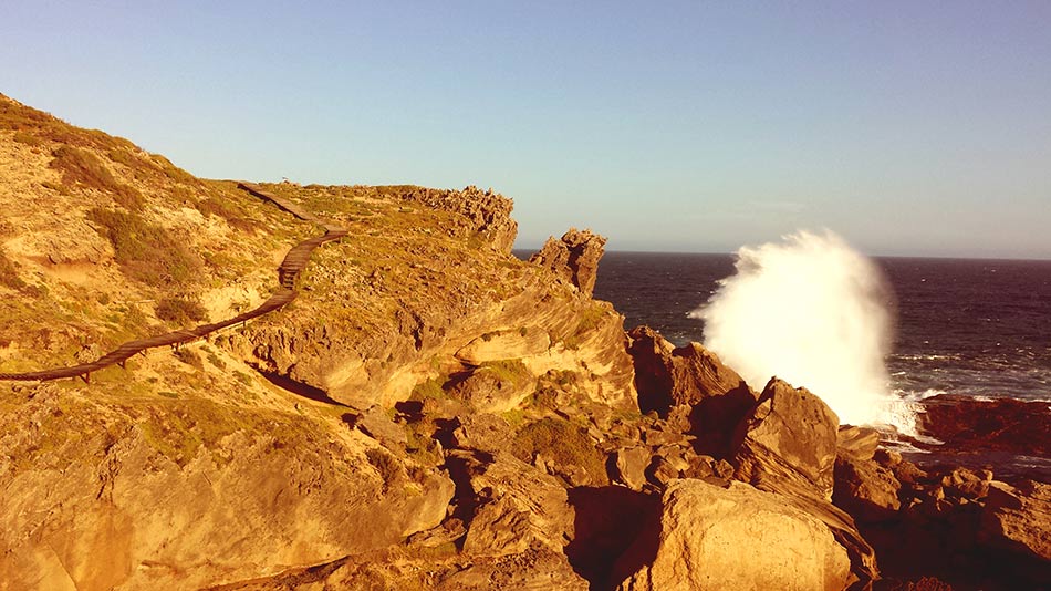 Robberg Nature Reserve Plettenberg Bay