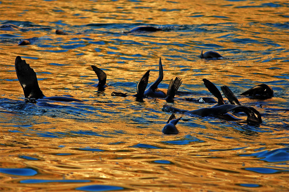 The rehearsal continue to the sun set.
