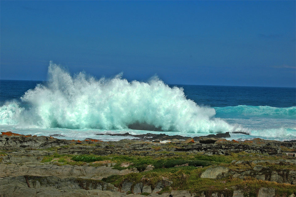 Riesige Wellen knallen in die Felsen am Storms River Mouth und lassen enorme Gischt aufsteigen.