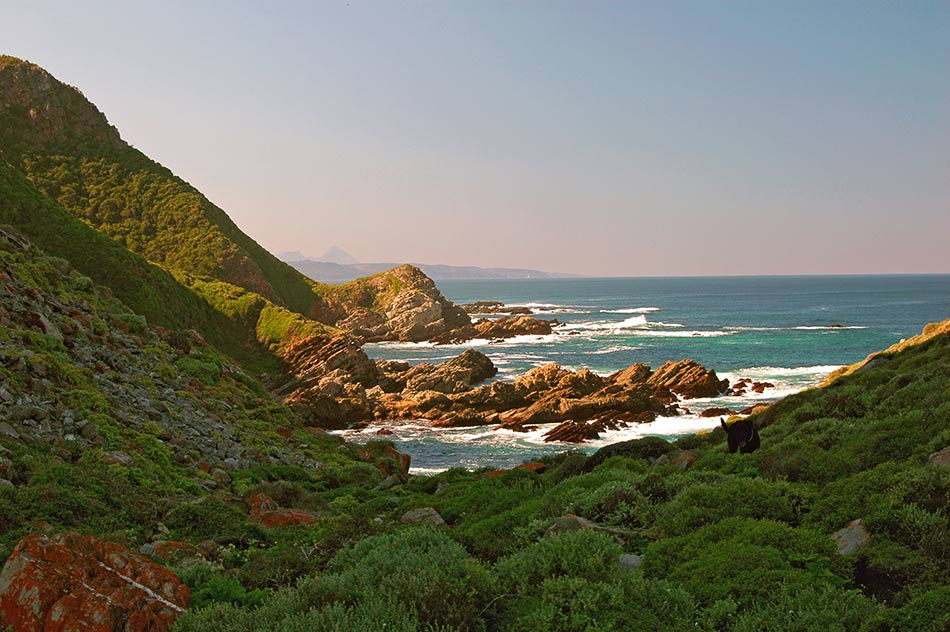 Keurboomstrand - Plettenberg Bay