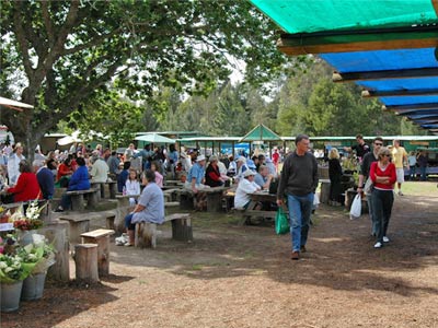 Farmers Market