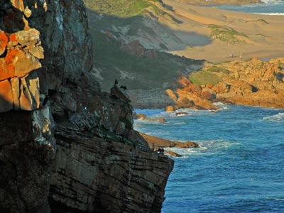 Robberg Nature Reserve