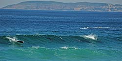 Springende Delfine in der Bucht von Plettenberg Bay.