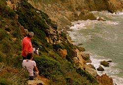 Wandern im Robberg Nature Reserve. Plettenberg Bay