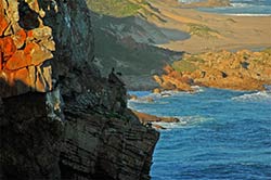 Wandern im Robberg Nature Reserve. Plettenberg Bay