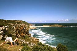 Der Traumstrand im Robberg Nature Reserve ist ein Tombolo Beach.