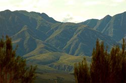 Ein paar Impressionen aus dem Hinterland von Plettenberg Bay.