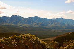 Ein paar Impressionen aus dem Hinterland von Plettenberg Bay.