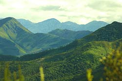 Ein paar Impressionen aus dem Hinterland von Plettenberg Bay.