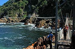 Die Hängebrücken im Tsitsikamma National Park nahe Plettenberg Bay.