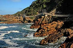 Die Hängebrücken im Tsitsikamma National Park nahe Plettenberg Bay.