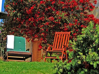 Guest House Garden